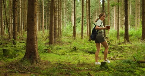 A woman with a backpack walking in a dense pine forest, holding a a pot with a Stock Footage 273420630