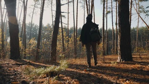 Woman with backpack walking in the fall forest Stock Footage 119104430