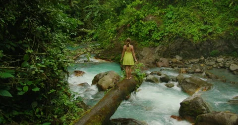 Woman balancing on moss covered log crossing turquoise river in lush rainforest Stock Footage 343402575