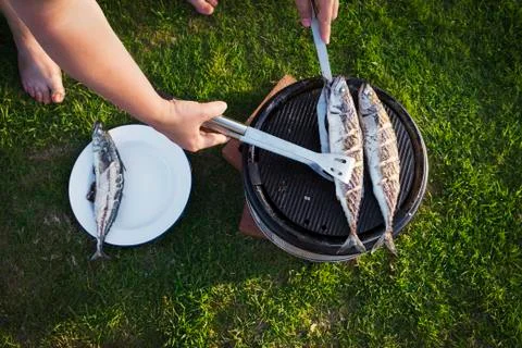 A woman barbequeing two fresh mackerel fish on a small grill, turning the fish. Stock Photos