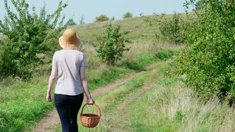 A woman with a basket of apples Stock Footage 324501774