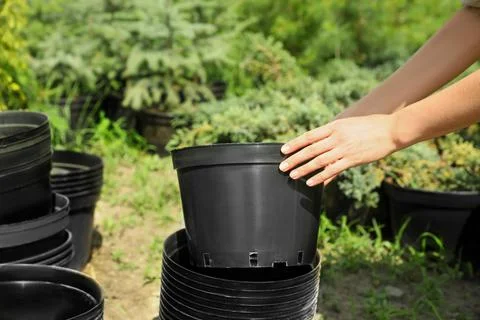 Woman with black pots for tree planting outdoors, closeup Stock Photos