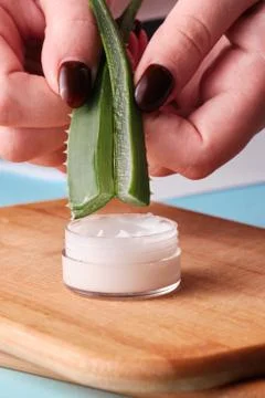 Woman blogger holding aloe vera leaf cutted in half showing how to make cream Stock Photos