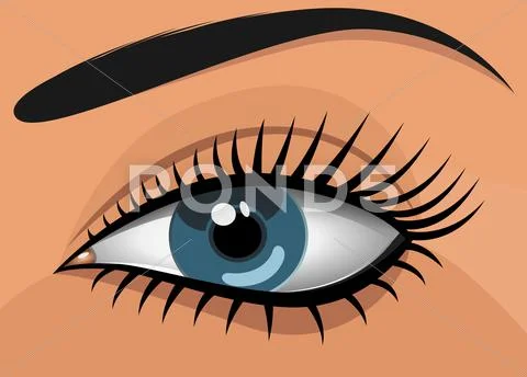 Woman blue eye. Illustration Stock Illustration