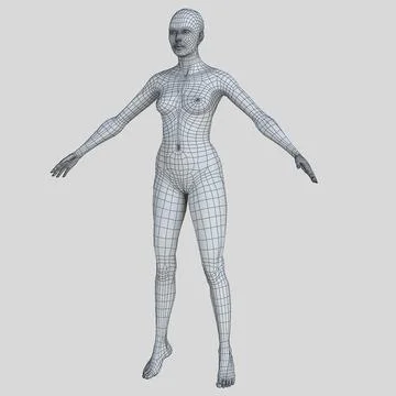 Woman Body ~ 3D Model ~ Download #90607920 | Pond5