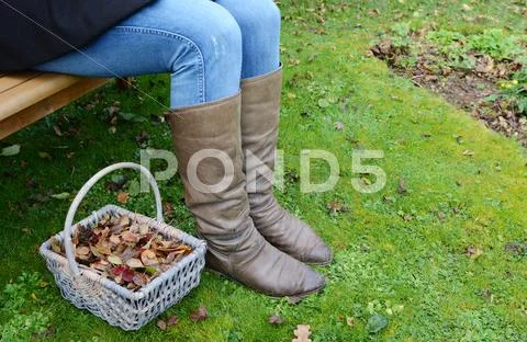 Woman in boots on a garden bench with basket of leaves Stock Photos