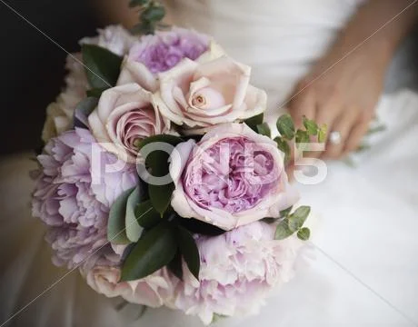 A Woman, A Bride Holding A Bridal Bouquet Of Pastel Coloured Pale Pink Roses And