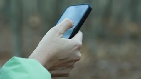 Woman browsing smartphone screen in forest Stock Footage 293424652