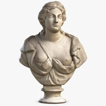 Woman Bust 6 ~ 3D Model ~ Download #91426828 | Pond5