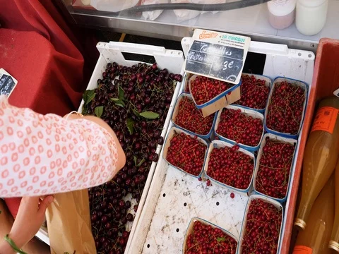Woman buying cherries organic fruits from the market stall Stock Footage