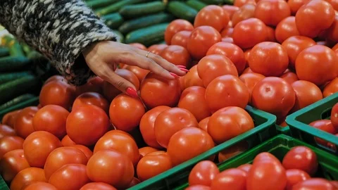 Woman buying tomatoes in supermarket. Woman choosing organic vegetables Stock Footage 121370379