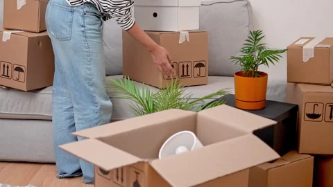 Woman carries stack of cardboard relocation boxes into her new living room Video stock 283839025