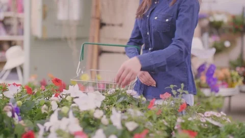 Woman carrying shopping basket while choosing flower pots at shop Stock Footage 79659853