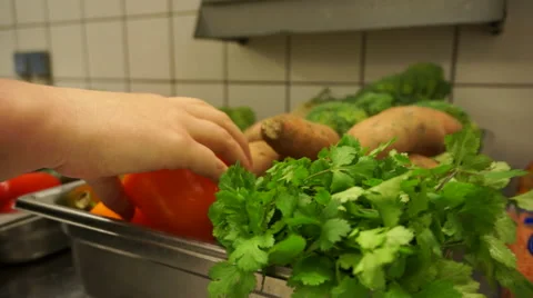 Woman checking the food Stock Footage 44794350
