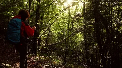 Woman checking map on phone in the middle of the forest Stock Footage 80675501
