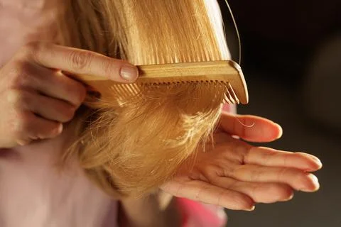 Woman Checking Split Ends While Combing Long Blonde Hair Closeup Stock Photos