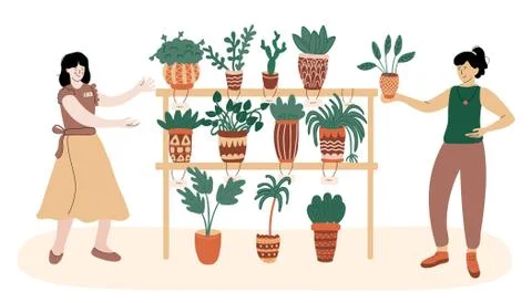 Woman choosing a new  houseplants in the market. Stock Illustration