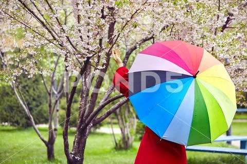 Woman in City Park at spring time Stock Photos