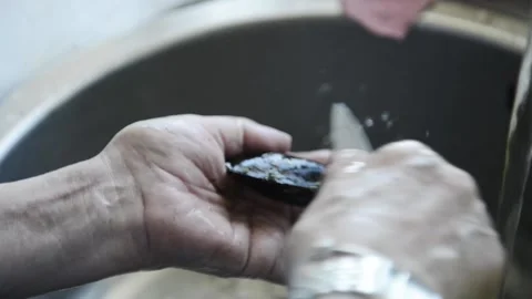 Woman cleaning the shell of a mussel before cooking it at home Stock Footage