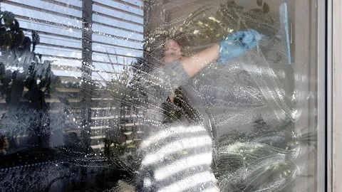 Woman cleaning window with small Squeegee Stock Footage 122660257