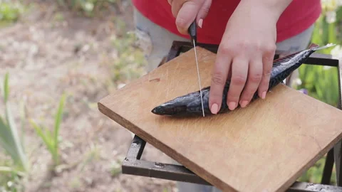 A woman cleans fish Vídeo Stock 86171507