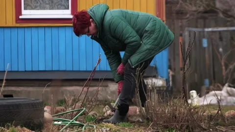 A woman cleans up garbage on her plot Stock Footage 237240161