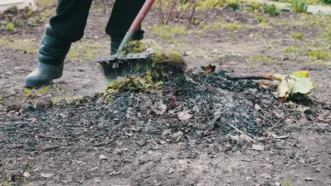 Woman cleans the garden from last year's dry leaves with rake Stock Footage