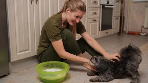 A woman cleans the kitchen while playing with her small pet Video stock 301055837