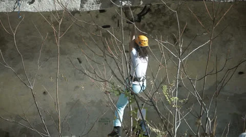 Woman - climber Stock Footage 24463908