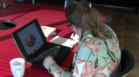 Woman at Computer Stock-Footage 32421318