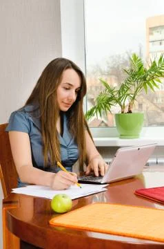 Woman with computer Stock Photos