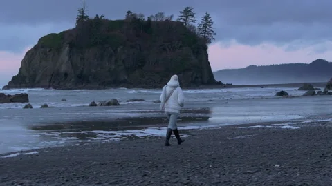 Woman contemplating at cinematic Ruby beach, Dramatic Washington nature aerial Stock Footage 266965357