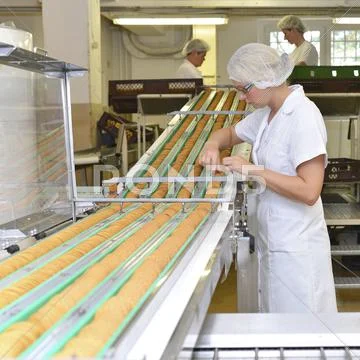 Woman Controlling Cookies On Production Line In A Baking Factory