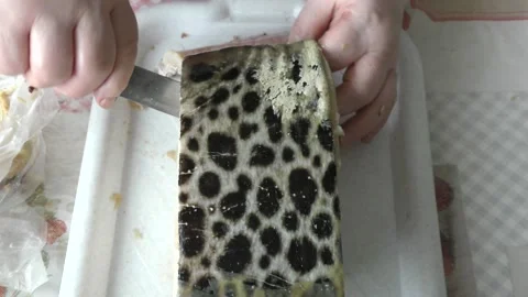 Woman cook cleans a fish catfish. healthy food concept Video stock 160149341