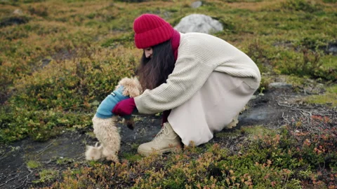 Woman crouching beside a small fluffy dog on a grassy rocky hillside Stock Footage 340108994