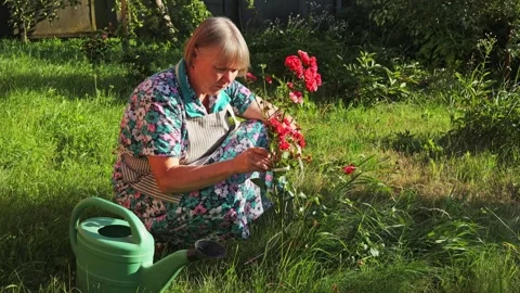 A woman is crouching in her backyard, focused on caring for flowering plants. Vidéo 339890604