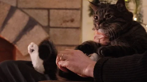 Woman cuddling a cat while sitting in an armchair near a burning fireplace. Cozy Stock Footage 326098248