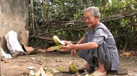 Woman Cuts Coconuts Stock Footage 33799314
