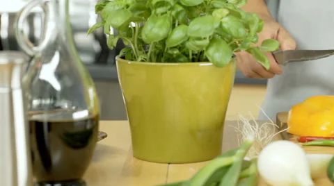 Woman cutting cherry tomatoes and adding them into the bowl, dolly shot Stock Footage
