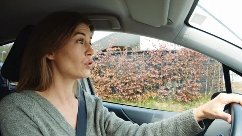 Woman Dancing In Car Stock Footage 117063433