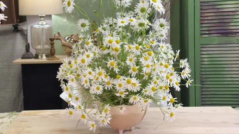 A woman decorates a console table with a chamomile bouquet in a handmade ceramic Stock Footage 313081461