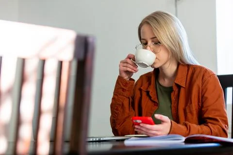 Woman developer with computer and mobile phone at home office Foto stock