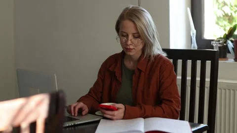 Woman developer working with computer at home office 動画素材 162194529