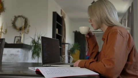 Woman developer working with computer at home office Stock Footage 162194813