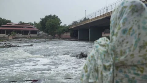 A woman devotee looking at polluted river water stream, Godavari River 库存影片 319459799