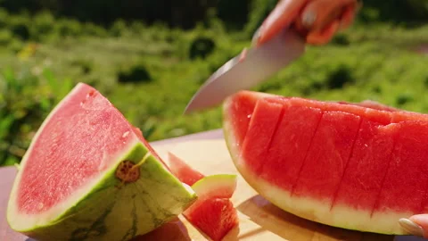 Woman Dicing Fresh Watermelon Into Bite Size Pieces With a Kitchen Knife on a Wo Stock Footage 339201284