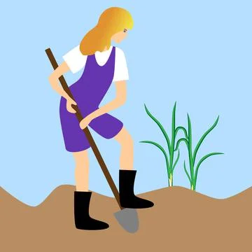 Woman digging a bed in the garden plot. Stock Illustration