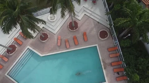 Woman diving in a pool in Florida. Stock Footage 148282545