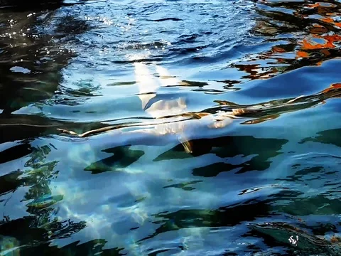 Woman is diving in pool Stock Footage 81008769