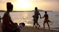 Woman with Dog at Beach and Happy Family in the Background. HD Footage